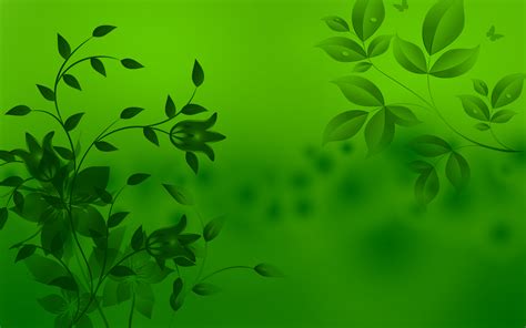 green background|Free Green Background Photos .
